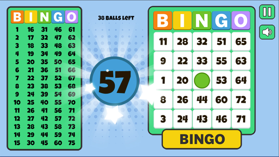Bingo Solo